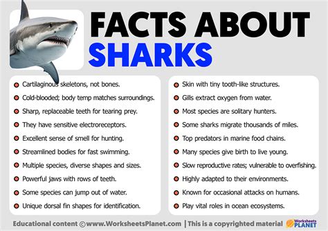 11 Surprising Facts About Sharks .